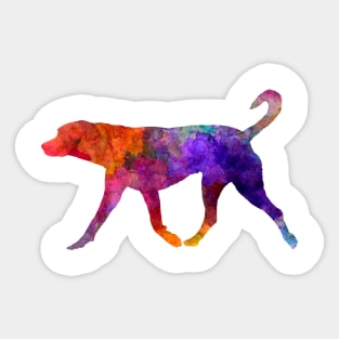 Transylvanian Hound in watercolor Sticker